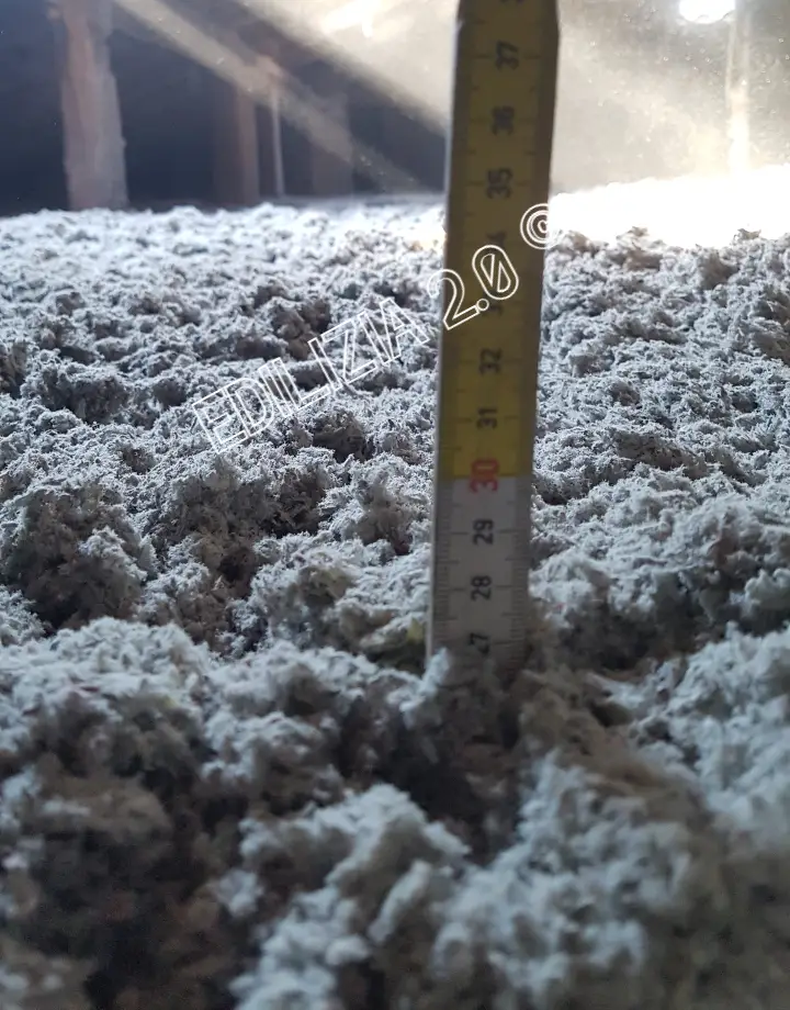 Applify - App Landing HTML Template